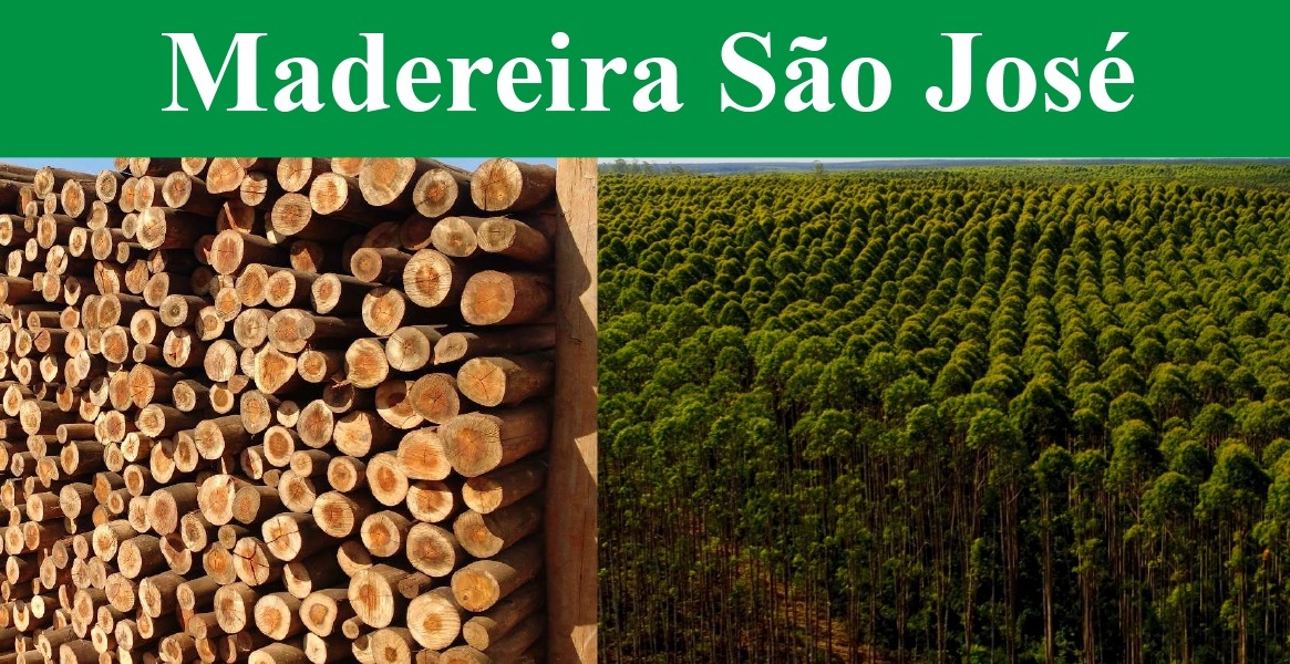 Madeireira São José