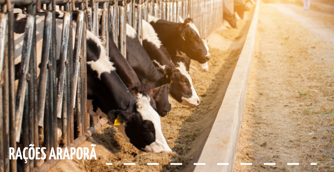 Rações Araporã
