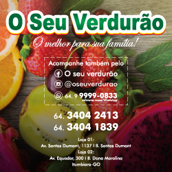 Publicidade 250x250 6